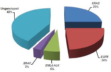 肺腺癌においてBRAF変異は3%、喫煙例に多く、G469A、D594Gは比較的特異性が高い_e0156318_18243049.jpg