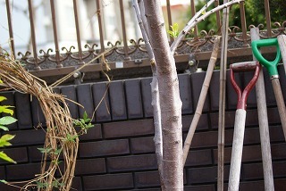 f0170524_1632169.jpg