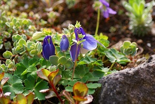 f0170524_1694615.jpg