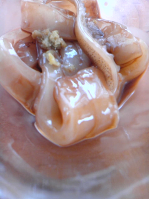 c0109726_12265188.jpg