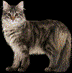 a0093928_10421180.gif