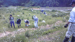 f0161535_036449.jpg