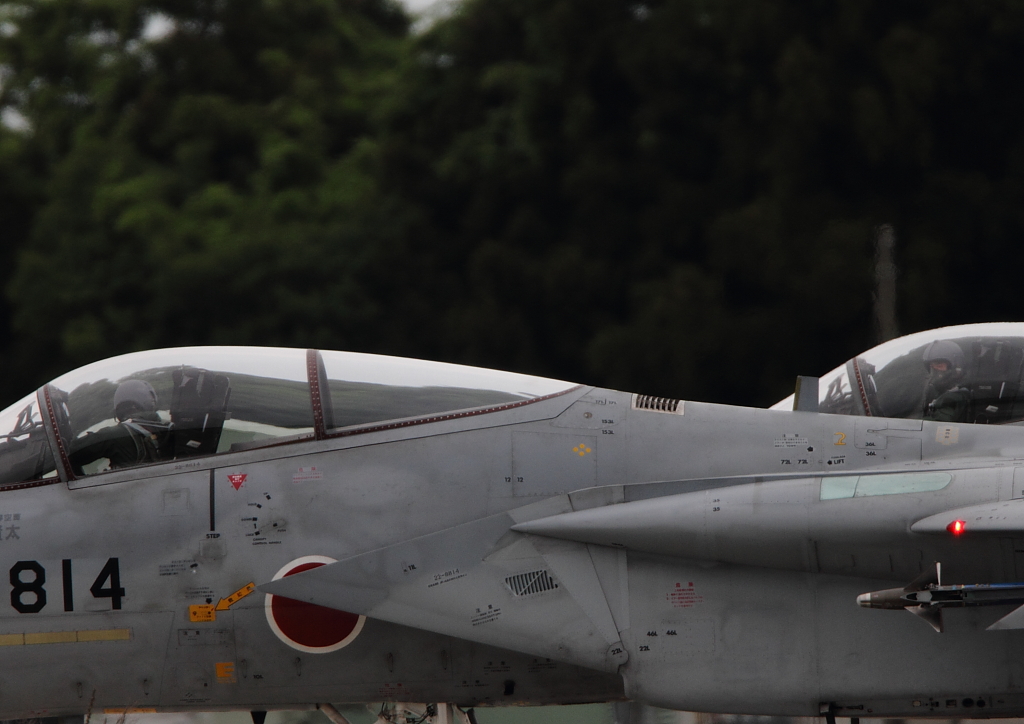 d0193838_21722.jpg