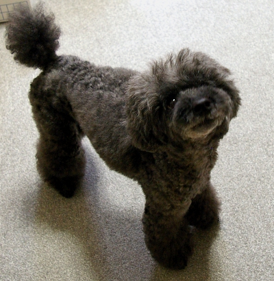 d0026745_42102.jpg