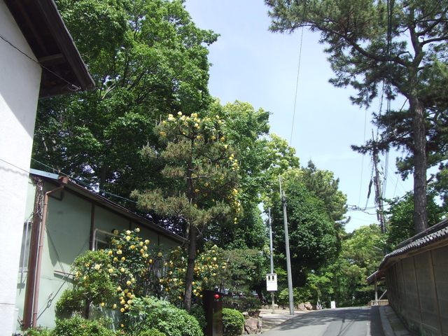 e0046748_18535716.jpg