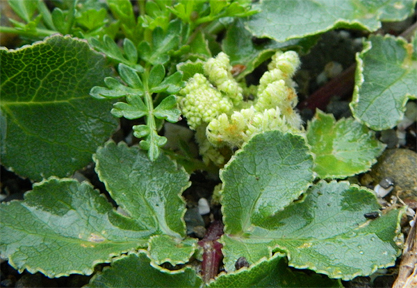 f0214649_80106.jpg
