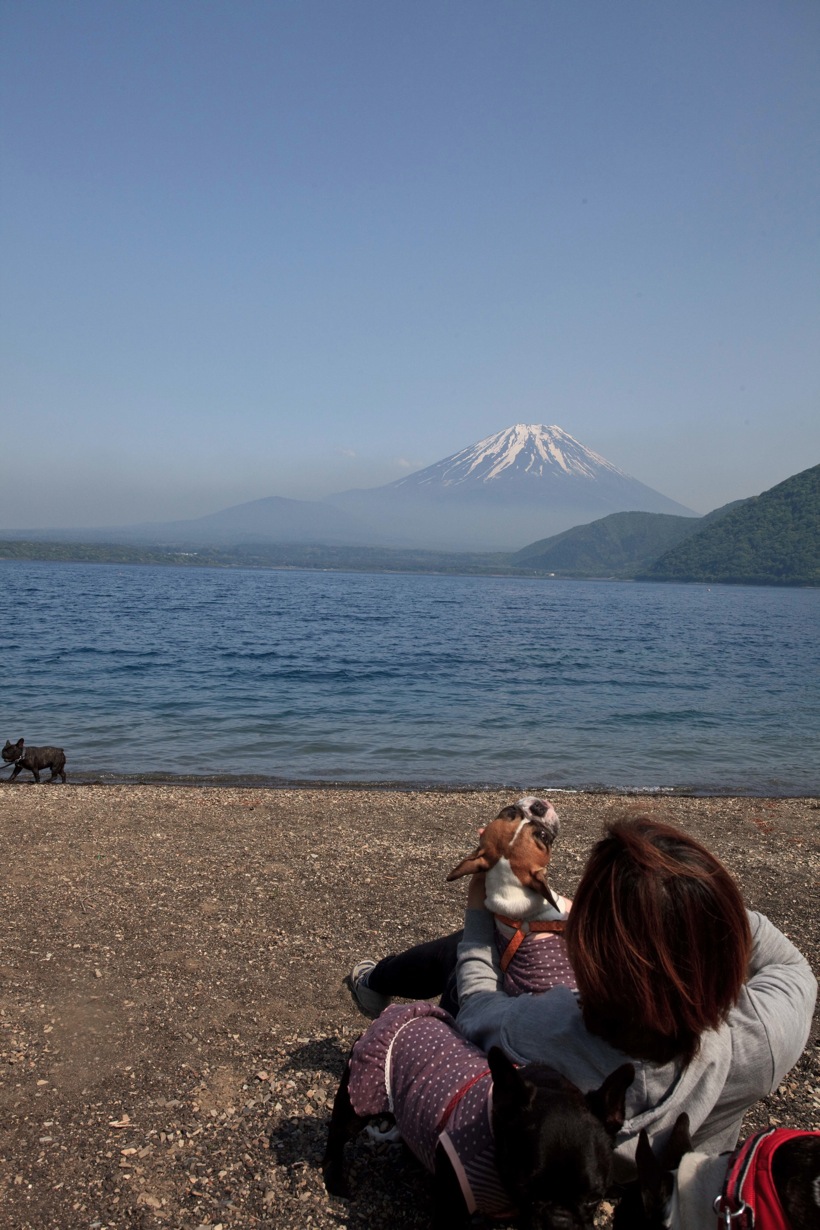 本栖湖畔でキャンプ! 　その３_d0154854_1339125.jpg