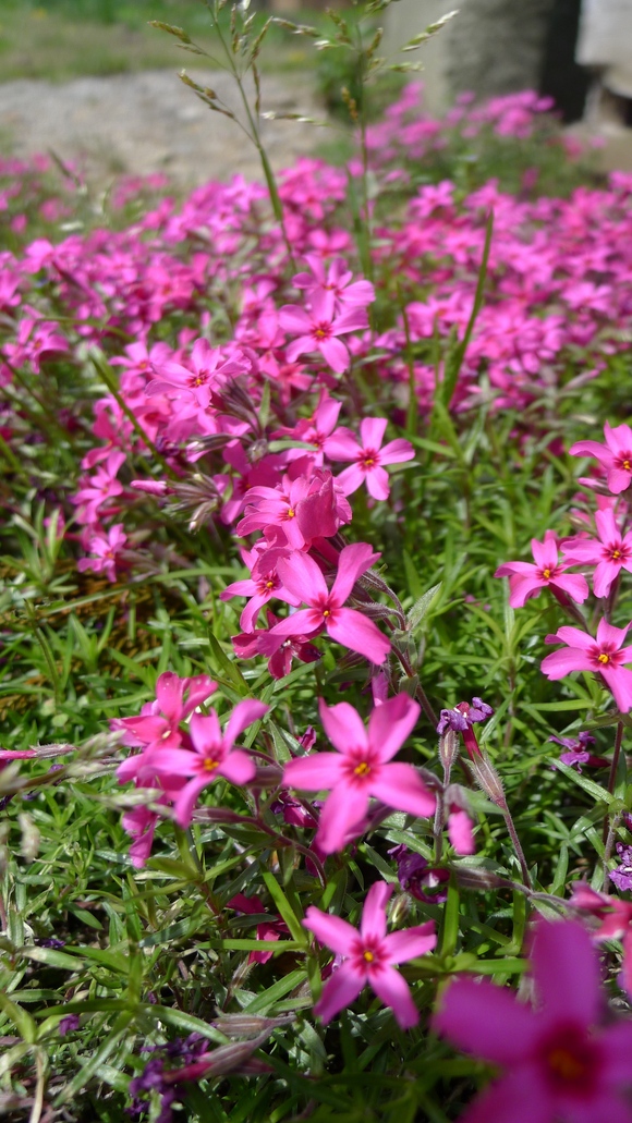 f0209354_21165415.jpg