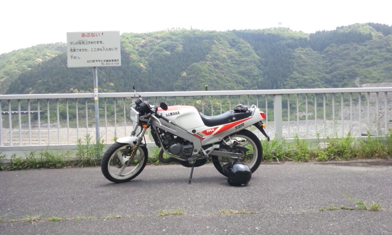 a0063856_817063.jpg
