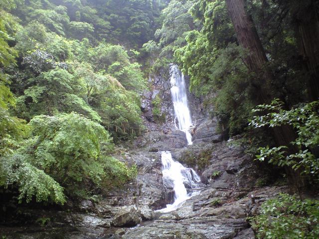 占い師のミッション 2011.5.22_b0002156_20313236.jpg