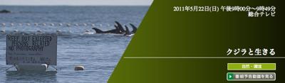 『クジラと生きる』(ドキュメンタリー)_b0189364_9584157.jpg