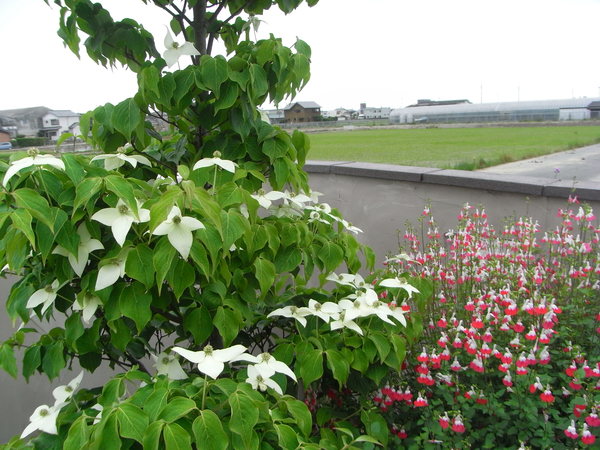 b0194267_1632436.jpg