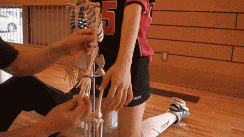 c0000970_10411772.gif