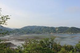 遂に出現。緑の干潟!_e0175370_11252941.jpg