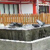 f0200871_016388.jpg