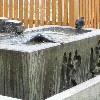 f0200871_016399.jpg