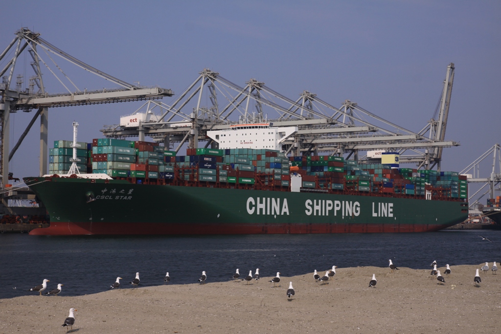 \"CSCL STAR\"_e0110972_22554428.jpg