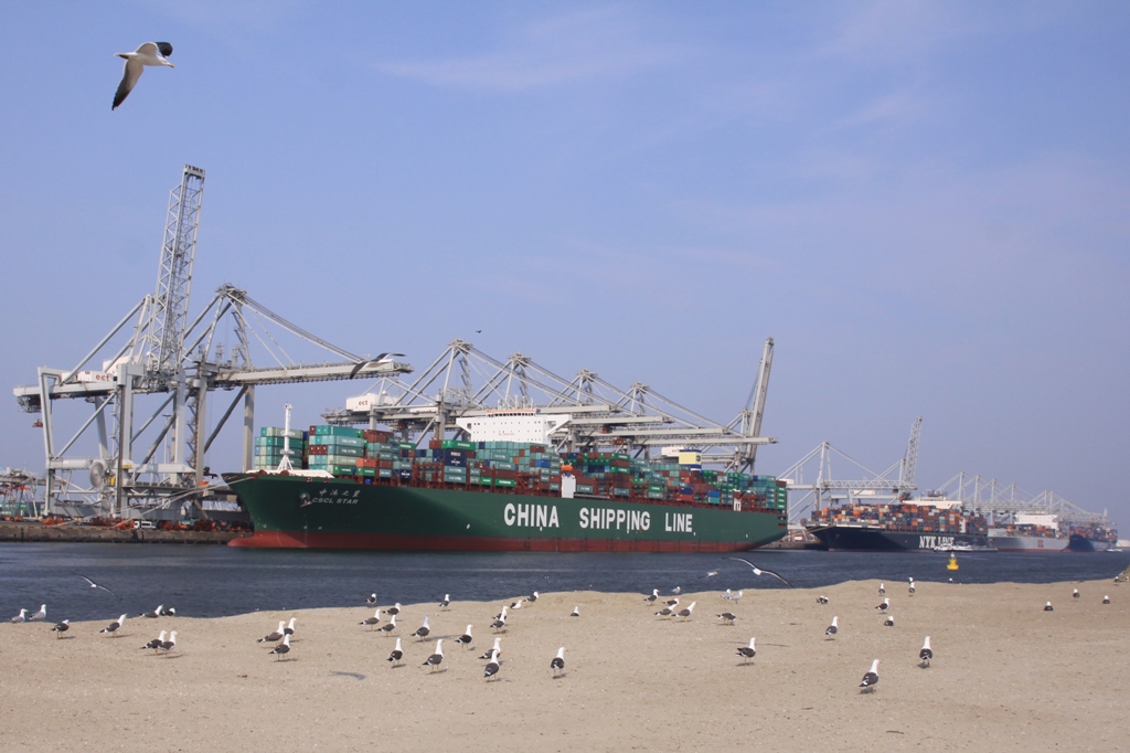 \"CSCL STAR\"_e0110972_22573814.jpg