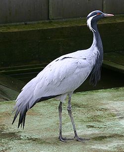 b0214473_14565610.jpg