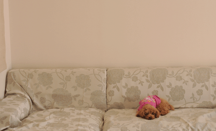 c0196673_1356452.gif