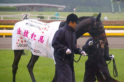 オークスは雨中の激戦を伏兵エリンコートが制す！後藤騎手は嬉しいクラシック初制覇_b0015386_03306.jpg