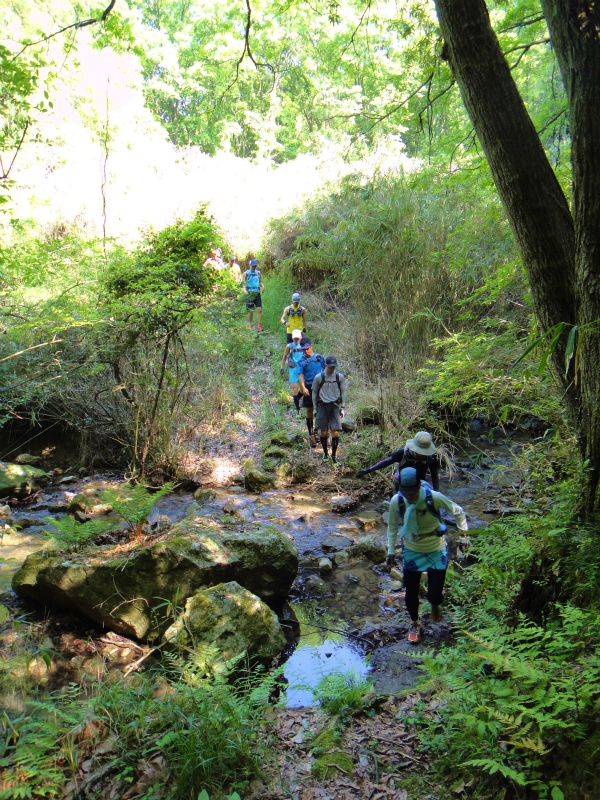 2011/05/15 丹生山系縦走路トレイルセッション_b0220886_214257100.jpg