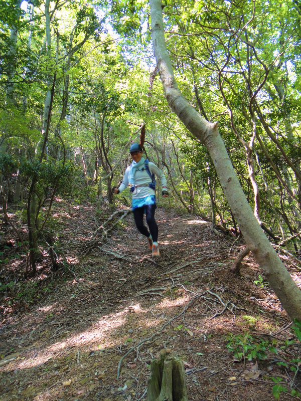 2011/05/15 丹生山系縦走路トレイルセッション_b0220886_21445123.jpg