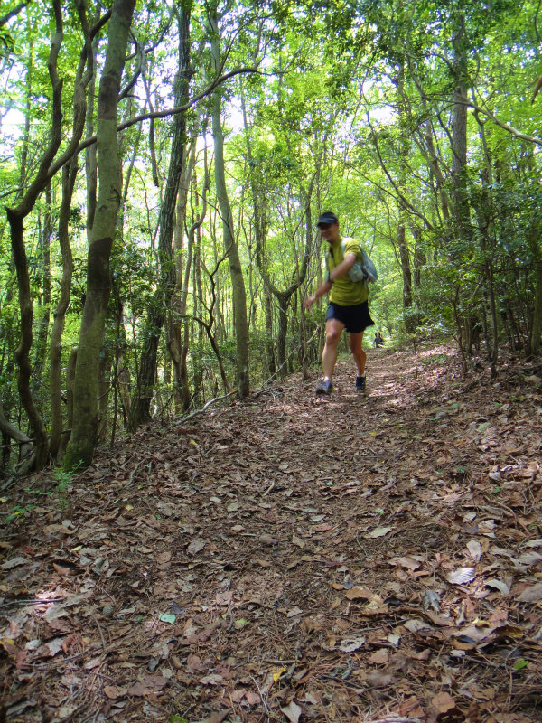 2011/05/15 丹生山系縦走路トレイルセッション_b0220886_21495336.jpg