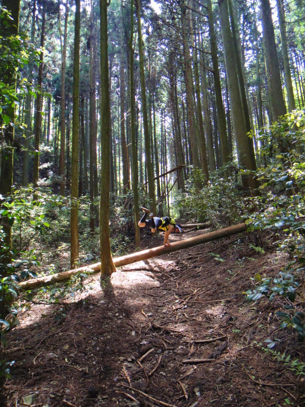 2011/05/15 丹生山系縦走路トレイルセッション_b0220886_221439.jpg
