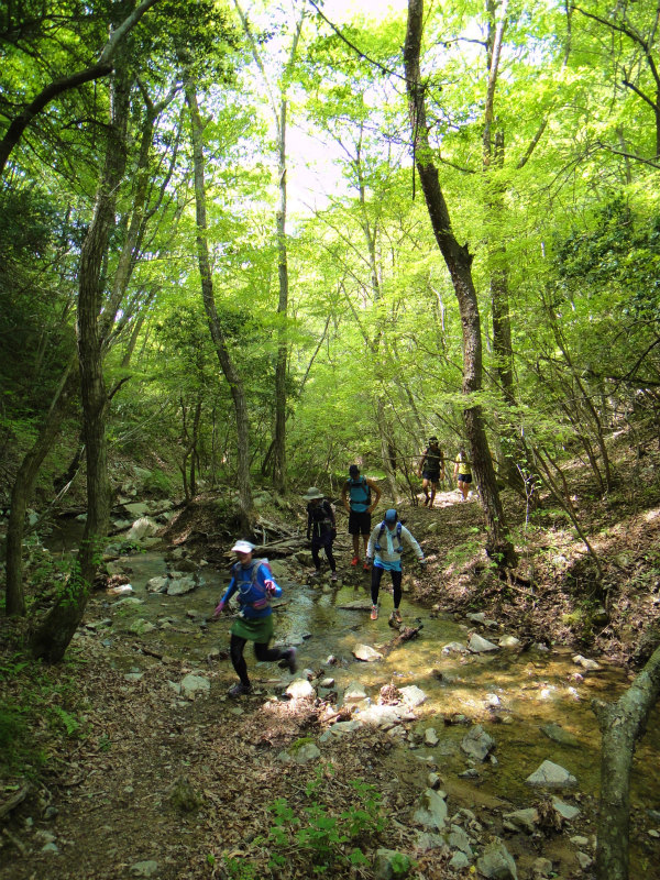 2011/05/15 丹生山系縦走路トレイルセッション_b0220886_2235780.jpg