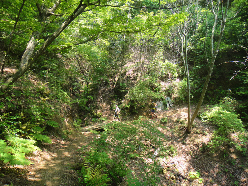 Weekday Trail Session_b0220886_22484737.jpg