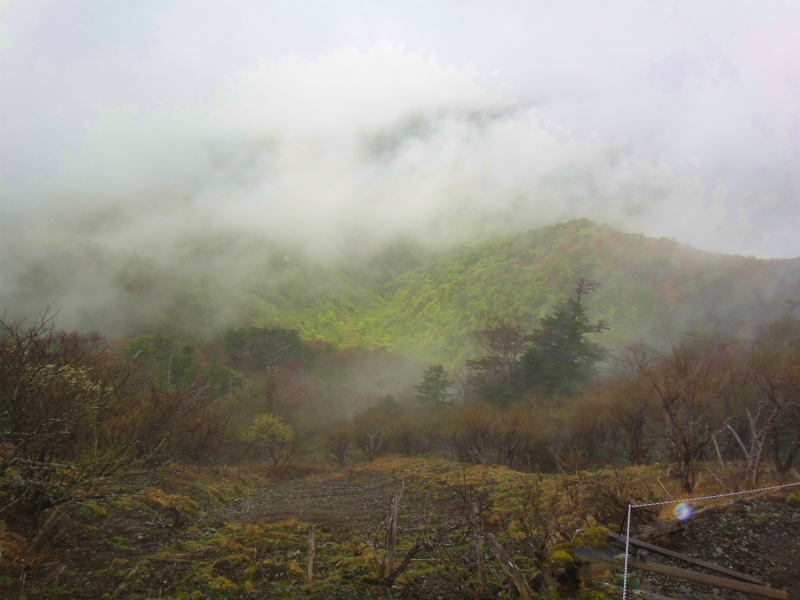 2011/05/21 四国剣山トレイルセッション_b0220886_23214794.jpg