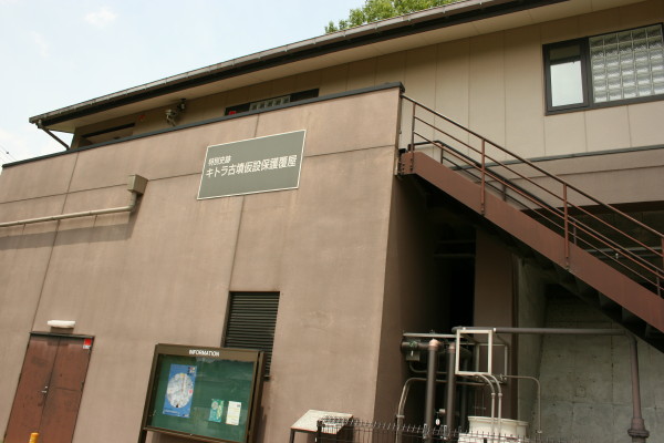 b0118987_6243097.jpg