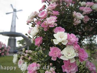 d0197087_0438.jpg