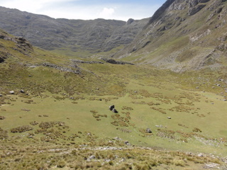 a0137192_23133022.jpg