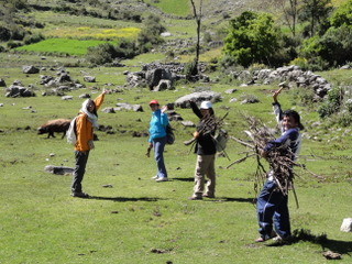 a0137192_23698.jpg