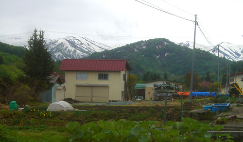 b0099994_17495841.jpg