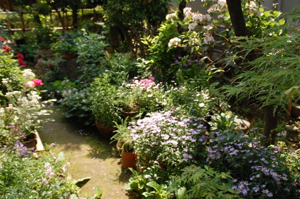 d0153294_1350631.jpg