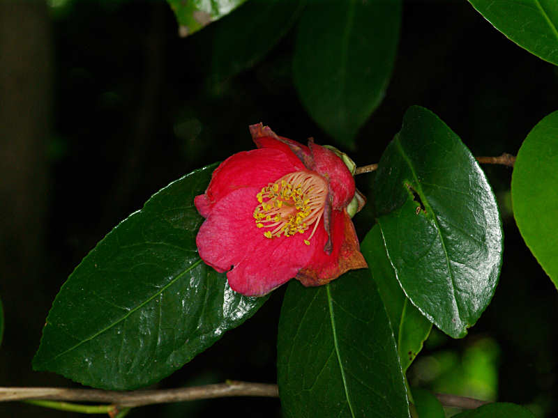 f0204094_13372523.jpg