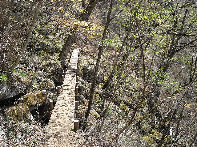 b0082895_10515258.jpg