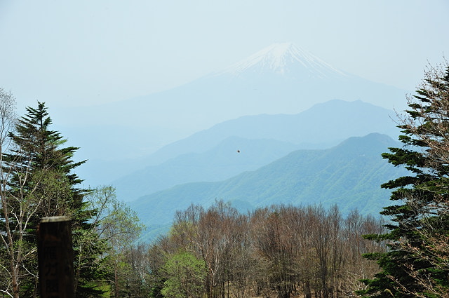 2011年初山歩き　：　雁ヶ腹擦山_b0082895_10544139.jpg