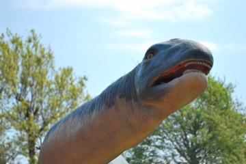 恐竜動物園＆イルカショー♪_f0136098_012778.jpg