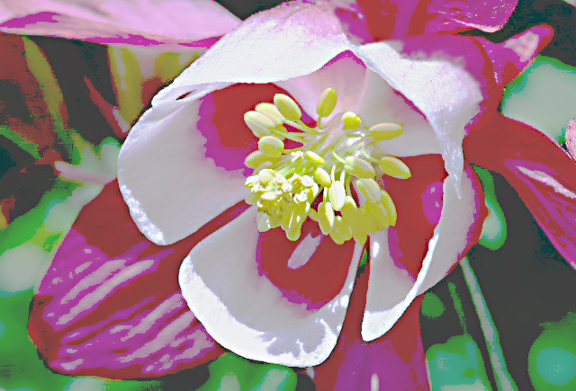 e0039703_055149.jpg