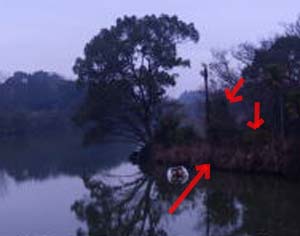 e0103408_1654442.jpg