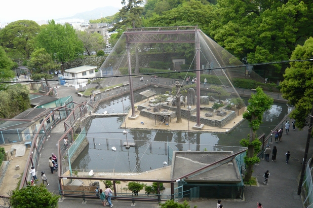 和歌山日帰り旅＊和歌山城内の水禽園と童話園？_f0221708_18344190.jpg