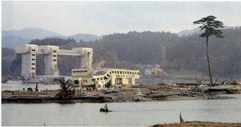 c0195909_1740574.jpg