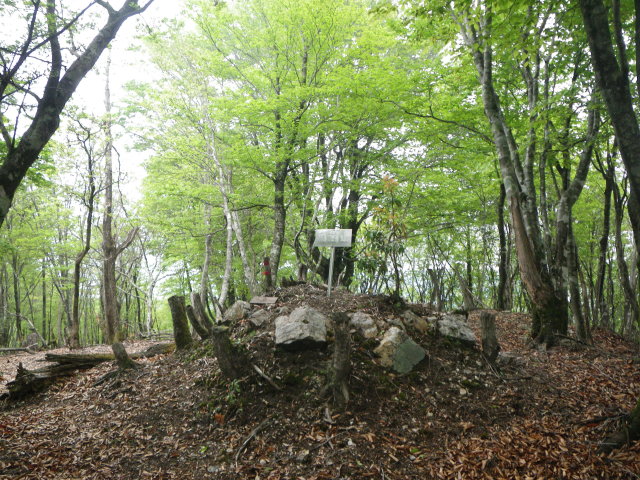 d0006512_21201611.jpg