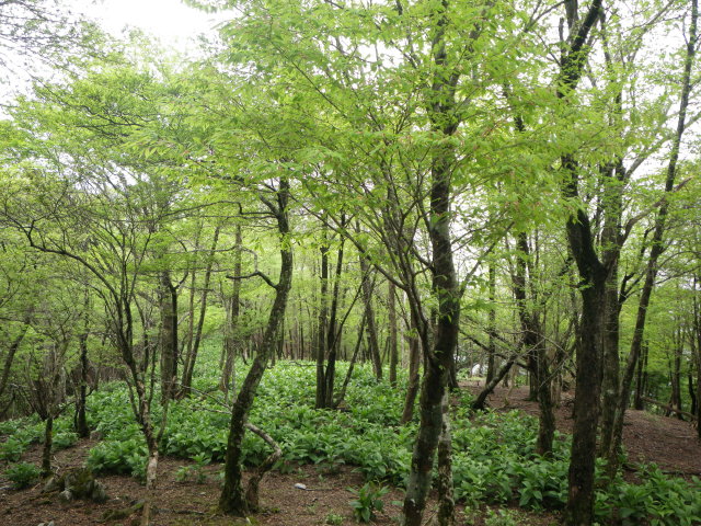 d0006512_21214490.jpg