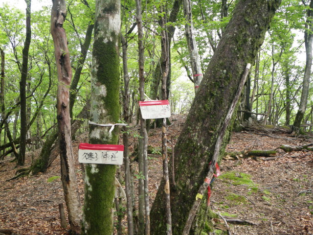 d0006512_2123365.jpg