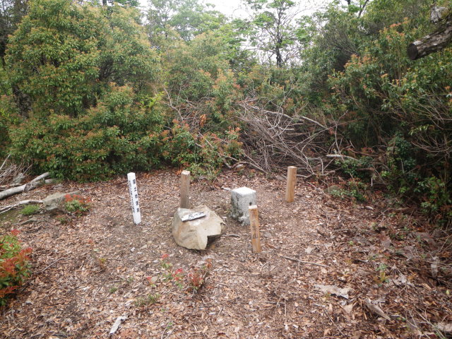 d0006512_2155857.jpg